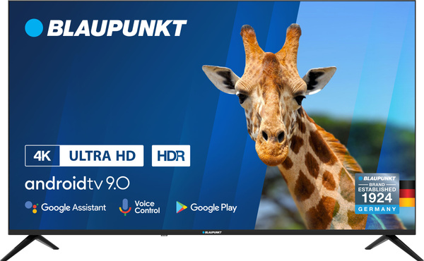 Телевизор Blaupunkt 50 Купить