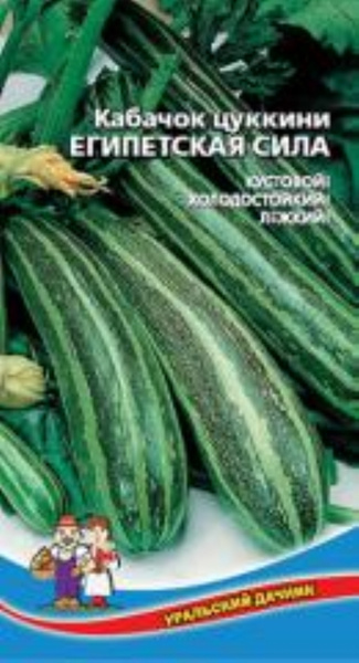 6566252 - купить по выгодным ценам в интернет-магазине OZON (535867915)
