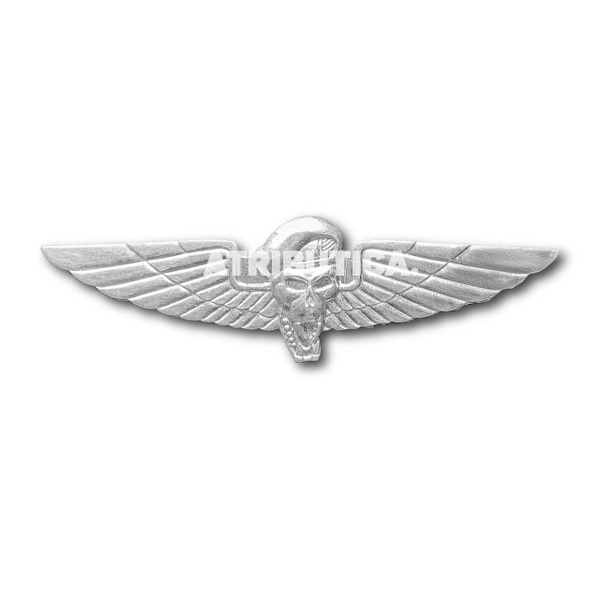 Знак Нагрудный Эмблема Спецназа С Крыльями (Серебристый / Пимса ...