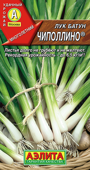 Лук Агрофирма Аэлита лук - купить по выгодным ценам в интернет-магазине ...