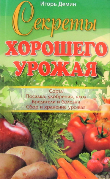 Правила полива растений