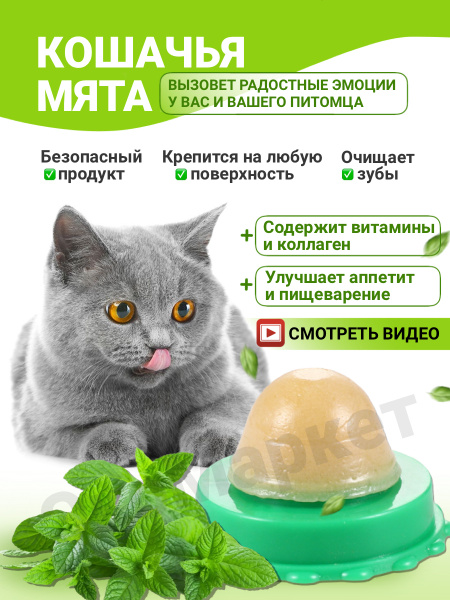 Лакомства для кошек, кошачья мята, конфета для кошки, леденец для кота ...