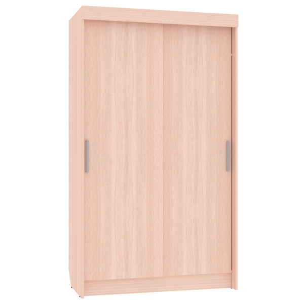 Шкаф-купе Профит-М шкаф купе 1000 без зеркала_белый, 120x60x210 см ...