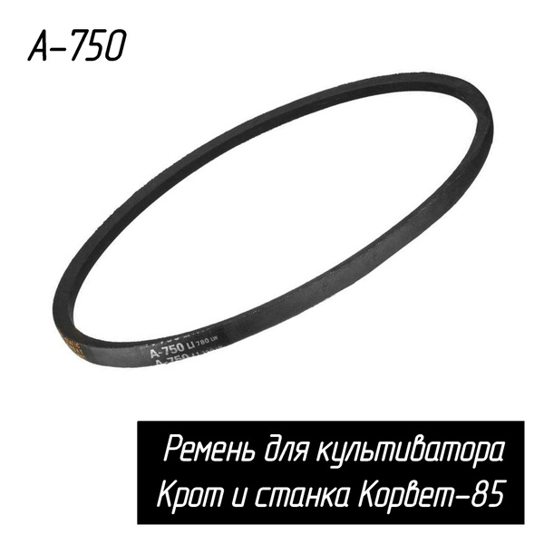 Ремень для культиватора Крот и станка Корвет-85 0106000821 25363 124565 ...