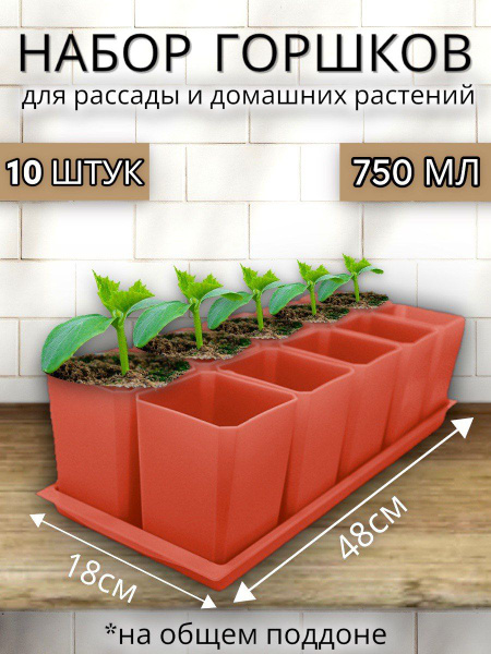 Горшки для рассады Пеликан, горшок для цветов для рассады, 10 шт по 750 ...