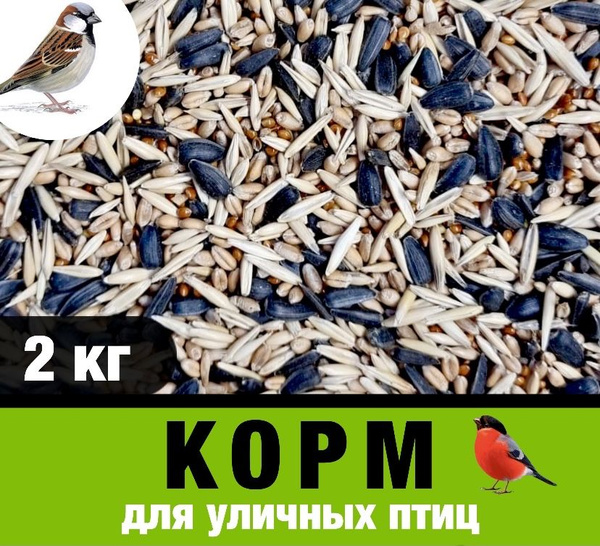 Корм для лесных, уличных и домашних птиц - купить с доставкой по ...