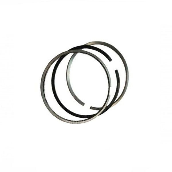 Поршневые кольца умз 421 100,5. Кольца поршневые 100. 4216 евро-4 (100. Умз кольца. Поршневые кольца газель 4216.