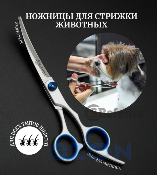 Ножницы для стрижки животных/ груминг (изогнутые) - купить с доставкой ...