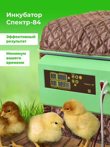 Инкубатор Спектр-84, бытовой - купить с доставкой по выгодным ценам в ...