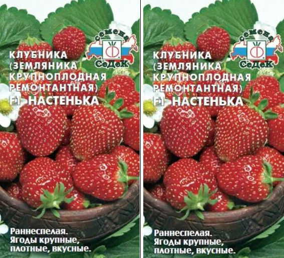 Клубника настенька. Земляника Настенька f1 15шт. Клубника Настенька СЕДЕК. Земляника Настенька ремонтантная крупноплодная f1(СЕДЕК) Ц.