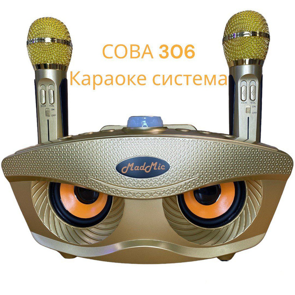 Портативная караоке система "Сова"306 с двумя радиомикрофонами (золотая ...