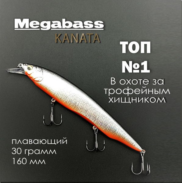 Воблер Минноу (Minnow) MEGABASS каната160, 0.3-1,5 м купить по выгодной ...
