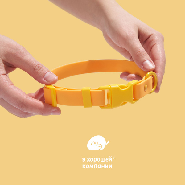 Декоративный ошейник для собак средних пород IN GOOD COMPANY размер М ...