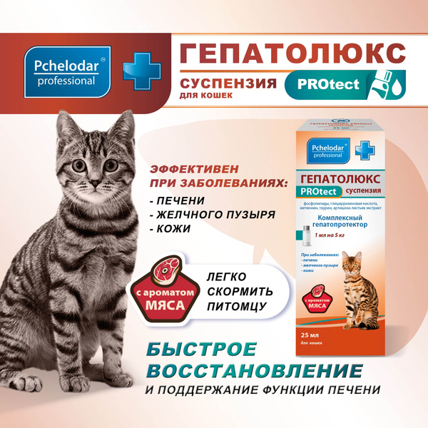 Гепатолюкс PROtect, Средство для лечения заболеваний печени у кошек ...