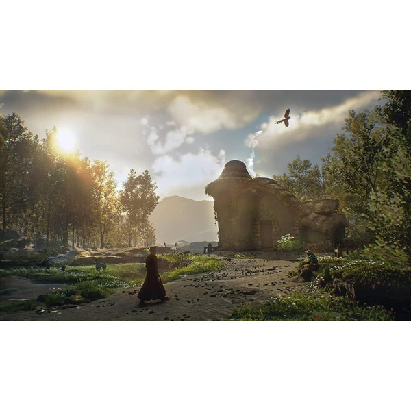 Игра Hogwarts Legacy Стандартное издание (PlayStation 4, Русские ...