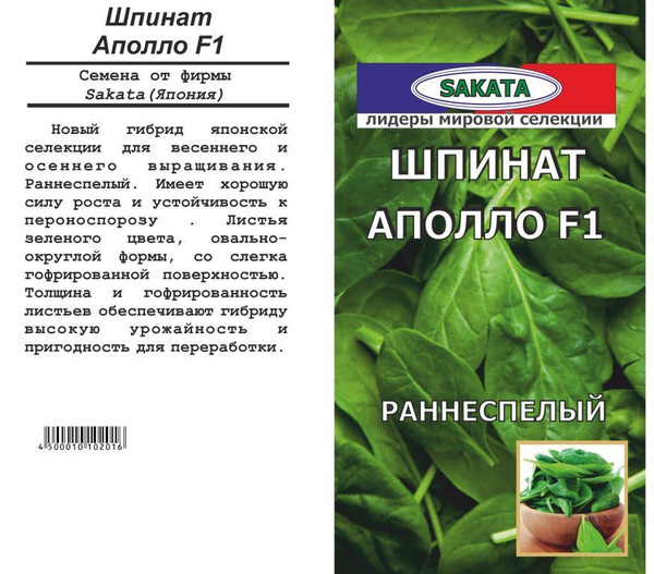 Шпинат Мир семян Шпинат_Шпинат Аполло F1 1г Sakata - купить по выгодным ...