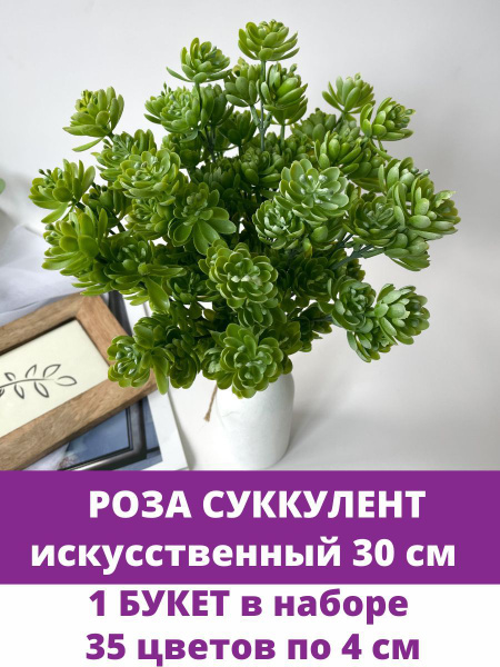 Купить Суккулент роза многоцветковая Бело-зеленая, искусственная зелень ...