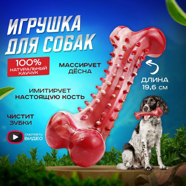 Игрушка для собак кость, прочная, резиновая косточка купить на OZON по ...