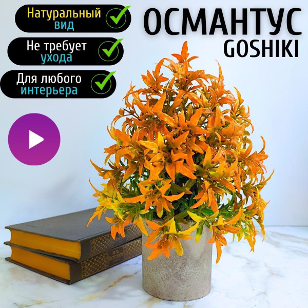 Купить Искусственные цветы в горшке Османтус. Декоративные цветы для ...