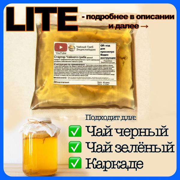 Чайный гриб Стартер Lite (живой) - купить с доставкой по выгодным ценам ...