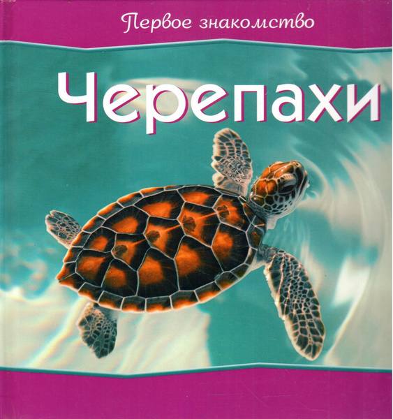 Первое знакомство. Черепахи купить с доставкой по выгодным ценам в интернет-ма
