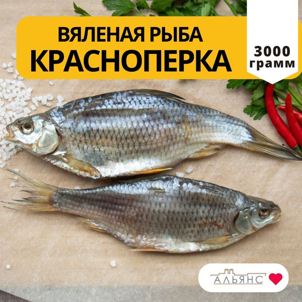 Вяленая рыба Красноперка / Закуска к пиву Альянс / 3 кг купить на OZON ...