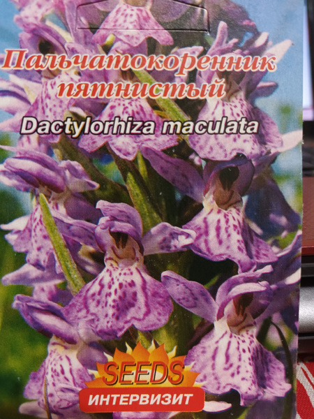 Многолетники для альпийской горки Интервизит Многолетники - купить по ...