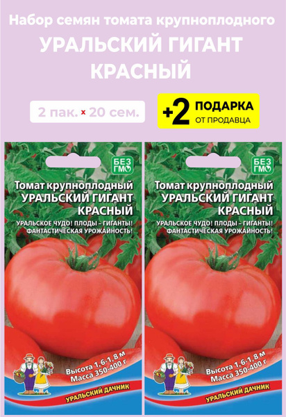 Томат уральский гигант. Сибирский скороспелый томат семена Сибири. Томат Волшебный Каскад f1. Семена помидор Сибирский скороспелый. Томат Минусинский улучшенный отбор.