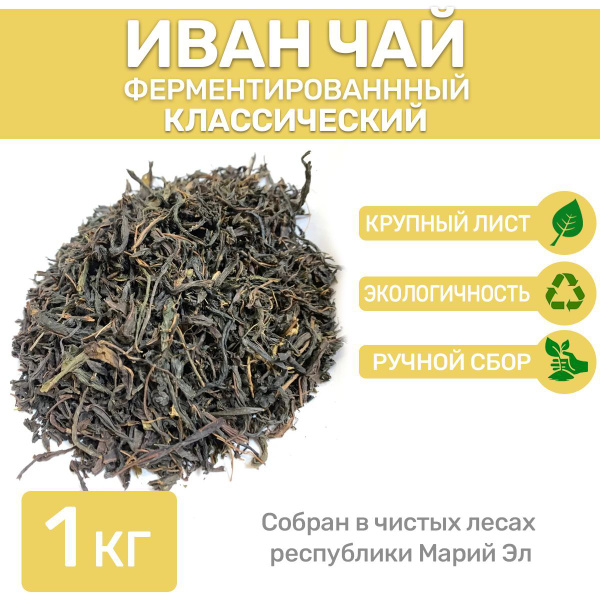 Иван чай листовой классический, таежный сбор травяной,ферментированный ...