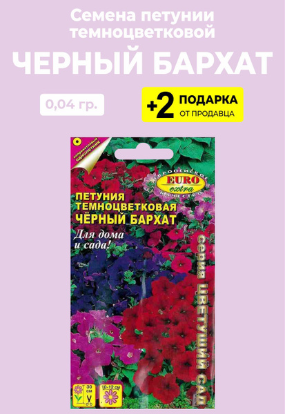Петунии Проверенные семена Петуния темноцветковая Черный бархат ...