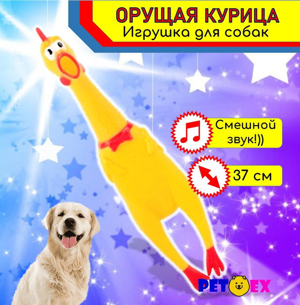 Курица пищалка игрушка для собак средних крупных пород 37 см - купить с ...