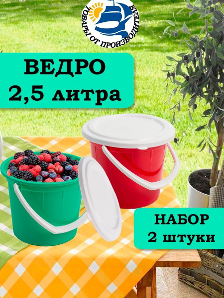 Набор Ведро пластиковое с крышкой для воды 2.5 л, 2 штуки - купить по ...