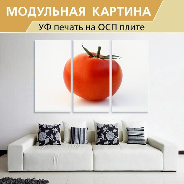 Модульная картина "Помидор, фруктовый, овощи" для интерьера на стену ...