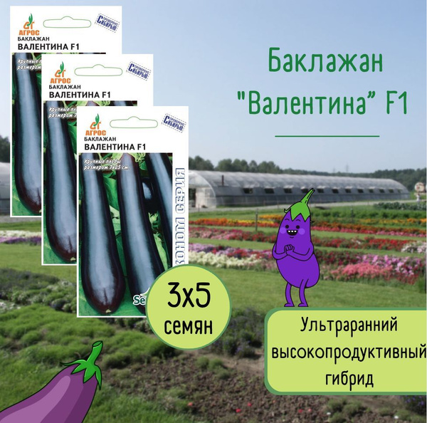 Баклажан Валентина F1 Фото
