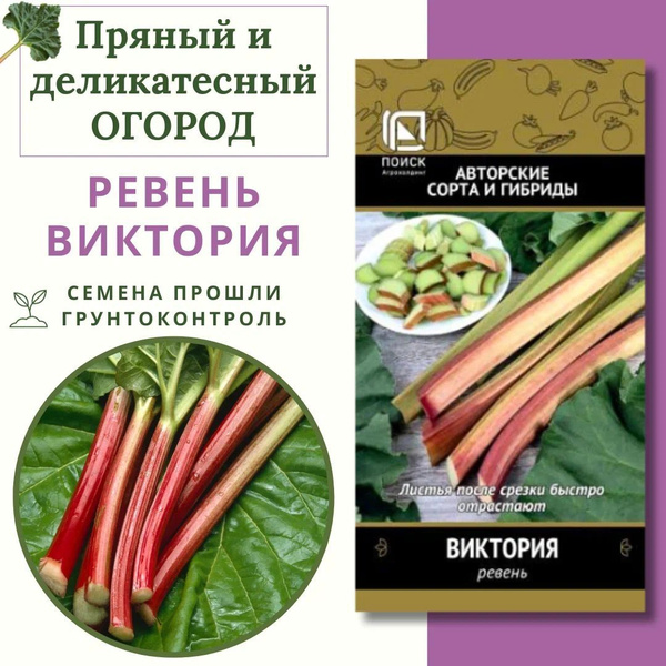 Ревень ПОИСК Агрохолдинг pryanost - купить по выгодным ценам в интернет ...