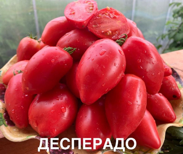 томат самарские - купить по выгодным ценам в интернет-магазине OZON ...