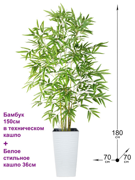 Купить Бамбук искусственный 180см в высоком белом кашпо 36см, ФитоПарк ...