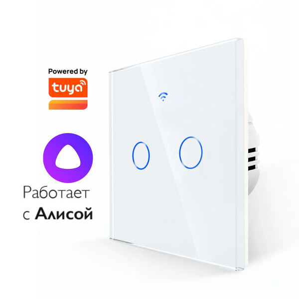 Умный выключатель сенсорный двухклавишный белый купить на OZON по ...