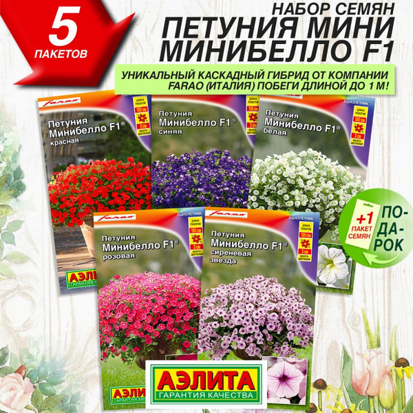 Петунии Аэлита Петуния_5_Минибелло - купить по выгодным ценам в ...