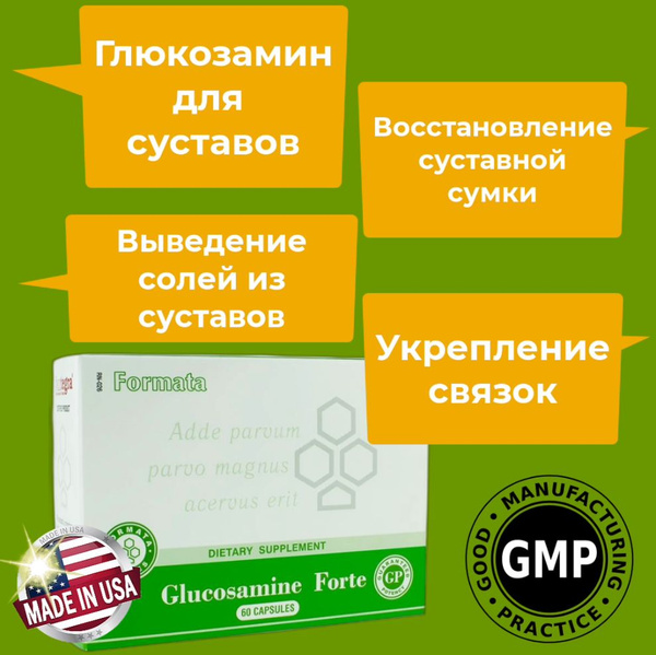 Хондропротектор для суставов Глюкозамин форте Сантегра, Glucosamine ...