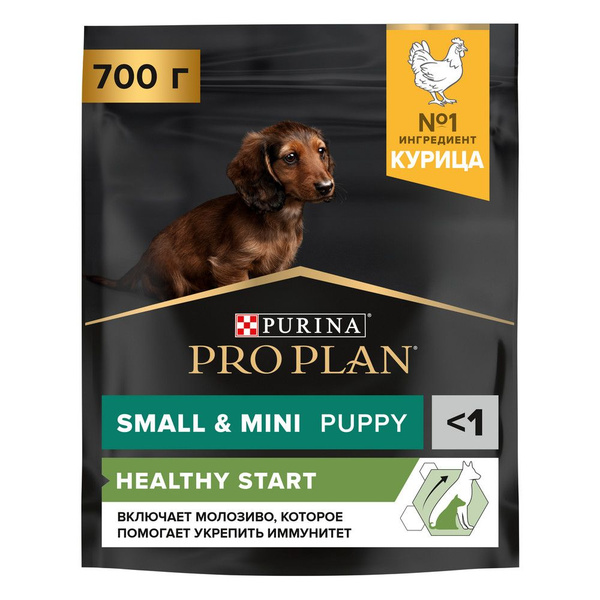 Purina Pro Plan Small & Mini Puppy / Сухой корм Пурина Про План для ...