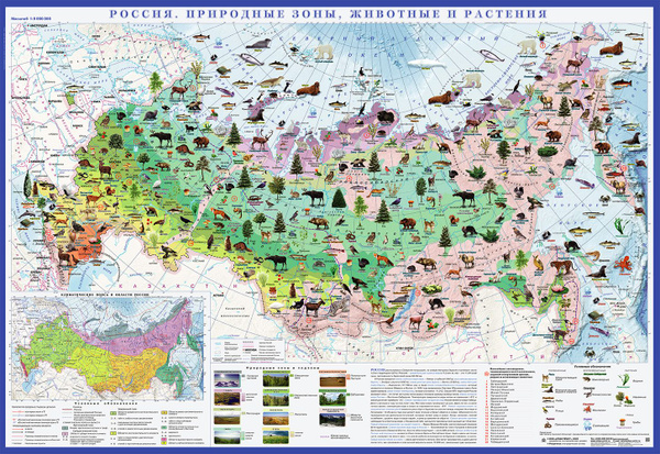 Атлас Принт Географическая карта 70 x 100 см - купить с доставкой по ...