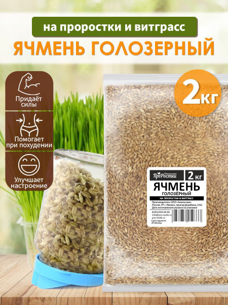Ячмень голозерный для проращивания, 2 кг купить на OZON по низкой цене ...