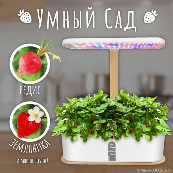 Умный сад / Гидропоника / Умный горшок-Big Dream - купить с доставкой ...