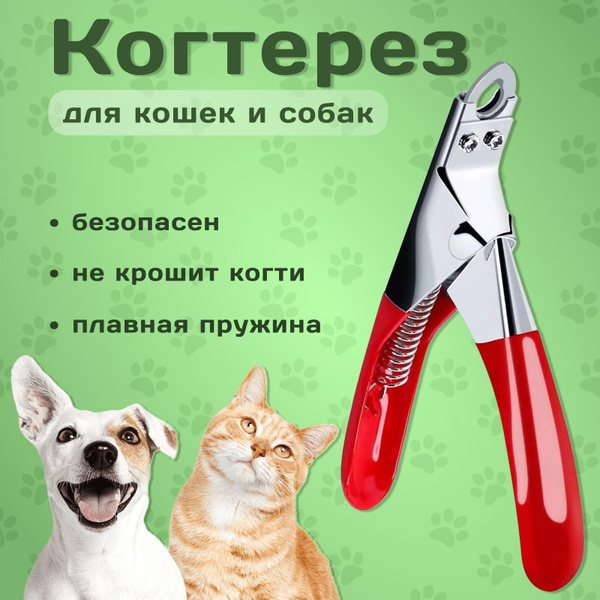 Когтерез для кошек и собак / когтерез для животных - купить с доставкой ...