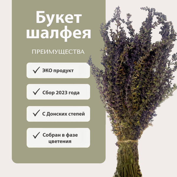 Шалфей. Травяной букет - Веник для бани, купить в интернет-магазине ...