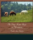 The Pony Rider Boys in Montana - Frank Gee Patchin