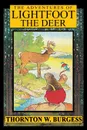 The Adventures of Lightfoot the Deer - Thornton W. Burgess