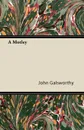 A Motley - John Sir Galsworthy
