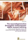 The neurodegenerative Drosophila melanogaster AMPK mutant loechrig - Cook Mandy